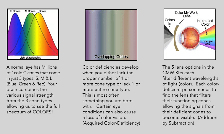 How do Color Blind glasses work