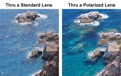 Fishing Sunglasses - Polarized Lenses
