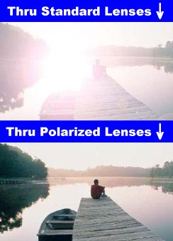 Polarized Lens Glare