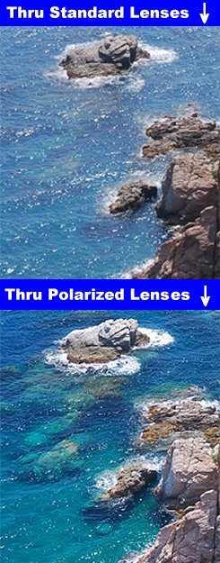 polarized sunglasses see through water