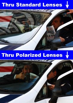 Polarized Sunglasses Demo