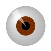 Spherical Eye