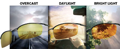 Transitions Drivewear Polarized Lenses